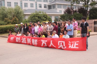 市民參觀衛(wèi)崗牧場(chǎng)，見證奶源新鮮