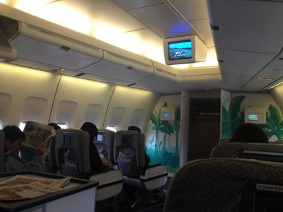 長(zhǎng)榮航空班機(jī)里的熱帶涂鴉率先給旅客上了一堂小清新課。