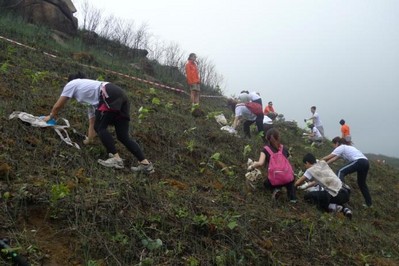 今年逾700人報(bào)名參加，為一幅去年被山火燒去大范圍林木的山坡種植約6,000棵樹苗。
