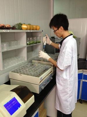 沃爾瑪生鮮配送中心的工作人員正在做農(nóng)藥殘留檢測(cè)。